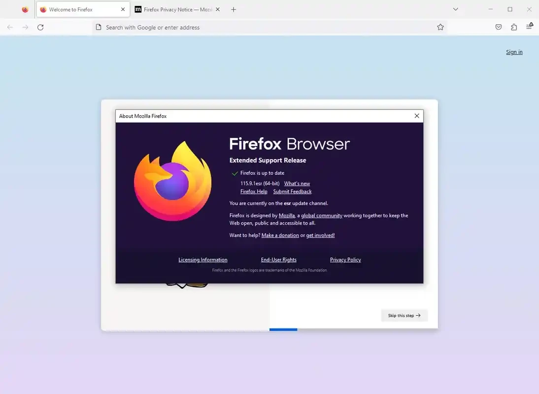 Firefox ESR — لقطة شاشة 2
